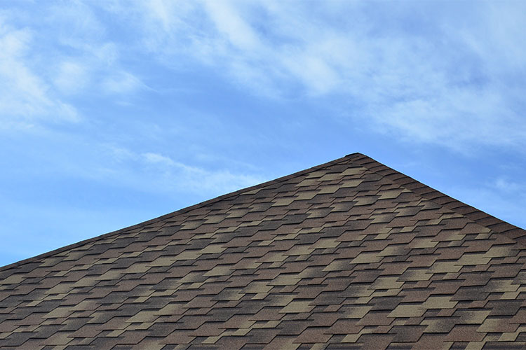 Professional Roofing Services in Phoenix Arizona